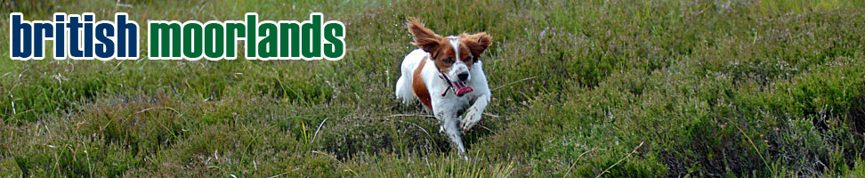 British Moorlands